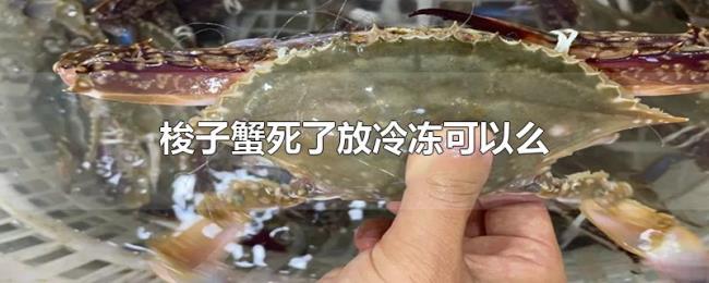 梭子蟹死了放冷冻可以么