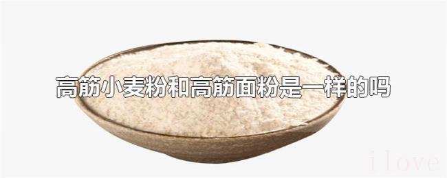 高筋小麦粉和高筋面粉是一样的吗
