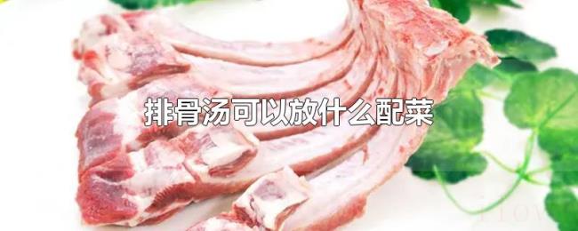 排骨汤可以放什么配菜 排骨汤可以放什么配菜