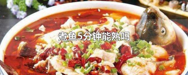 煮鱼5分钟能熟吗 煮鱼5分钟能熟吗