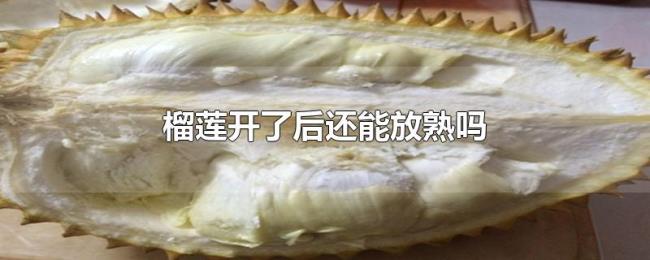 榴莲开了后还能放熟吗 榴莲开了后还能放熟吗