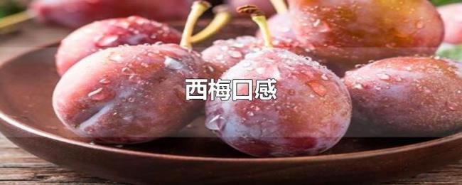 西梅口感
