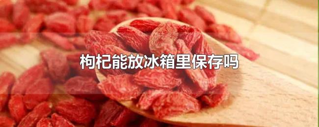 枸杞能放冰箱里保存吗 枸杞能放冰箱里保存吗