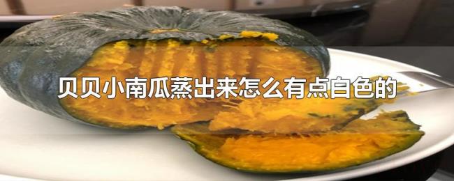 贝贝小南瓜蒸出来怎么有点白色的