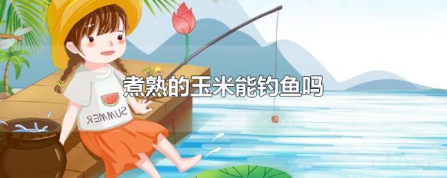 煮熟的玉米能钓鱼吗
