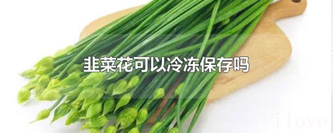 韭菜花可以冷冻保存吗 韭菜花可以冷冻保存吗