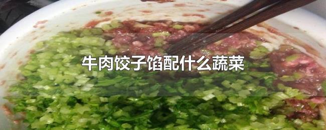 牛肉饺子馅配什么蔬菜