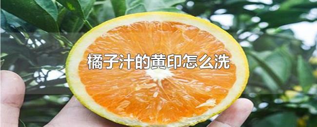 橘子汁的黄印怎么洗 橘子汁的黄印怎么洗