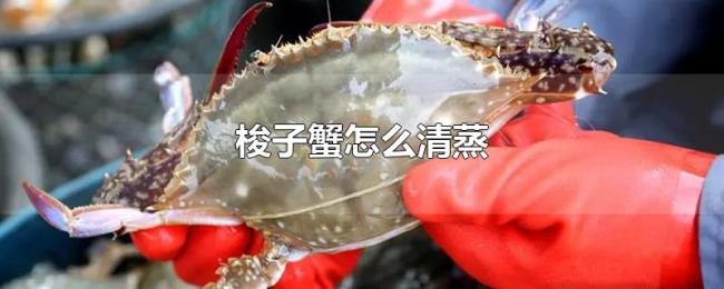 梭子蟹怎么清蒸