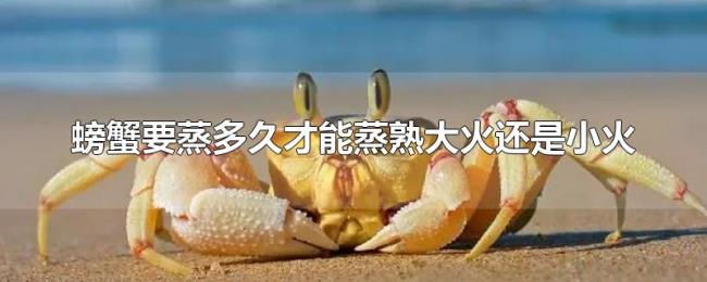 螃蟹要蒸多久才能蒸熟大火还是小火