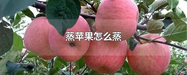 蒸苹果怎么蒸 蒸苹果怎么蒸