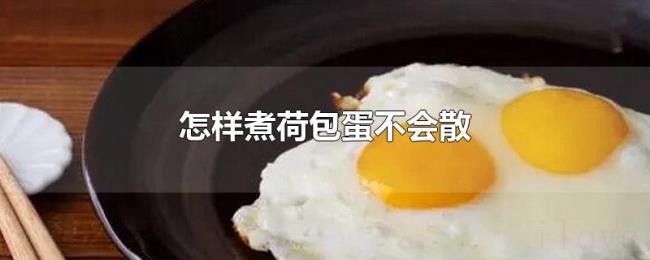 怎样煮荷包蛋不会散 怎样煮荷包蛋不会散