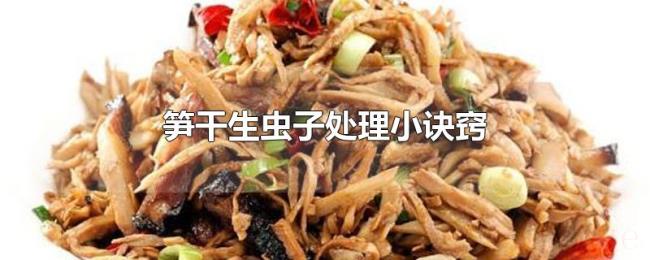 笋干生虫子处理小诀窍 笋干生虫子处理小诀窍