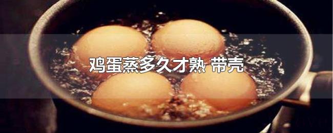 鸡蛋蒸多久才熟（带壳）