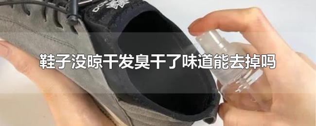 鞋子没晾干发臭干了味道能去掉吗 鞋子没晾干发臭干了味道能去掉吗