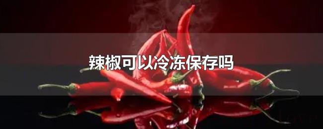 辣椒可以冷冻保存吗 辣椒可以冷冻保存吗