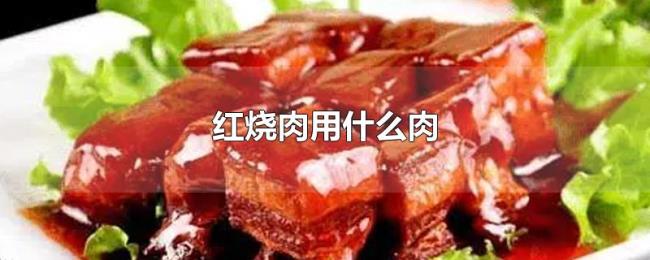 红烧肉用什么肉