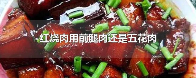 红烧肉用前腿肉还是五花肉 红烧肉用前腿肉还是五花肉