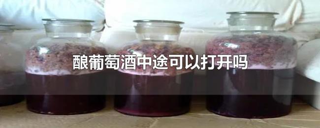 酿葡萄酒中途可以打开吗 酿葡萄酒中途可以打开吗