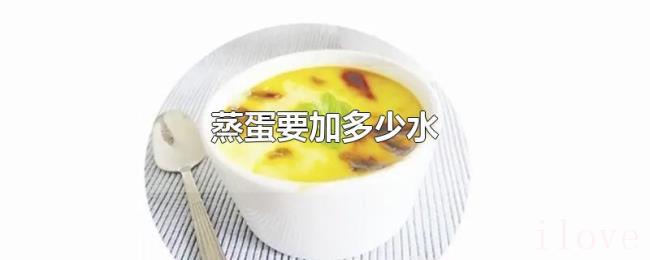 蒸蛋要加多少水 蒸蛋要加多少水
