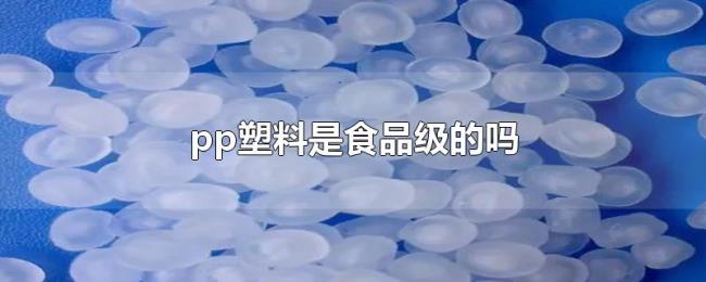 pp塑料是食品级的吗