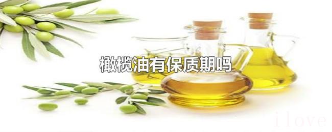 橄榄油有保质期吗 橄榄油有保质期吗