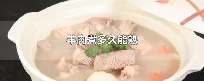 羊肉煮多久能熟 羊肉煮多久能熟