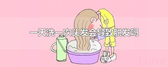 一天洗一次头发会导致脱发吗 一天洗一次头发会导致脱发吗