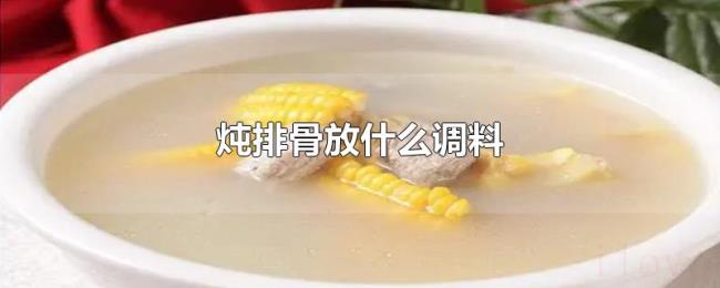 炖排骨放什么调料 炖排骨放什么调料