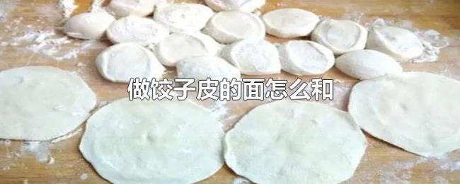 做饺子皮的面怎么和 做饺子皮的面怎么和