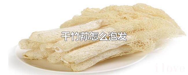 干竹荪怎么泡发
