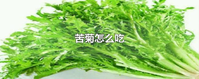 苦菊怎么吃 苦菊怎么吃