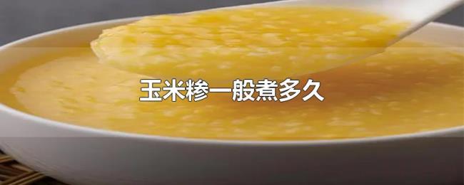 玉米糁一般煮多久