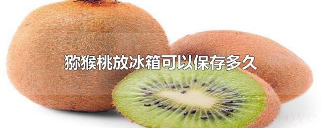 猕猴桃放冰箱可以保存多久 猕猴桃放冰箱可以保存多久