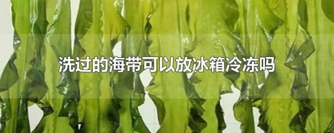 洗过的海带可以放冰箱冷冻吗 洗过的海带可以放冰箱冷冻吗