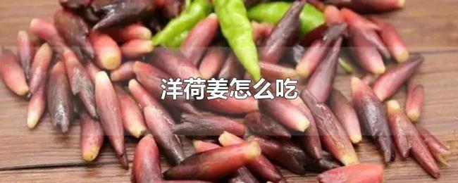 洋荷姜怎么吃 洋荷姜怎么吃