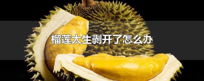 榴莲太生剥开了怎么办