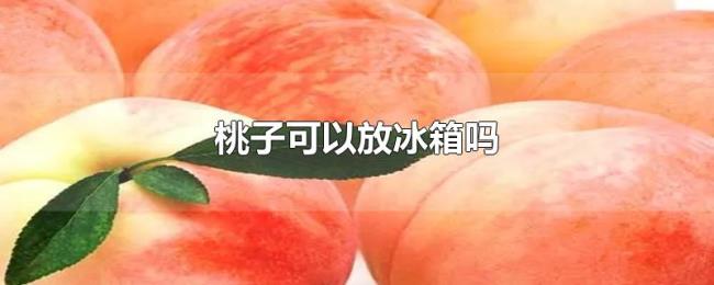 桃子可以放冰箱吗