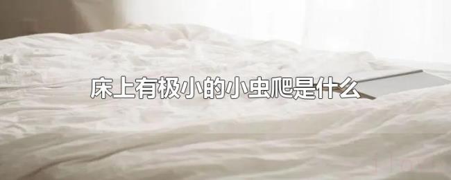 床上有极小的小虫爬是什么