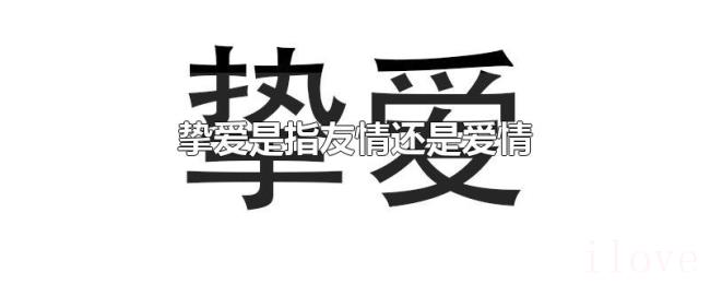 挚爱是指友情还是爱情
