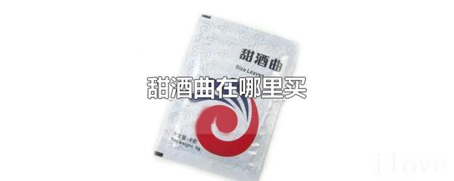 甜酒曲在哪里买 甜酒曲在哪里买