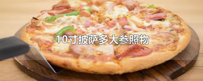 10寸披萨多大参照物