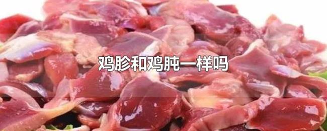 鸡胗和鸡肫一样吗 鸡胗和鸡肫一样吗