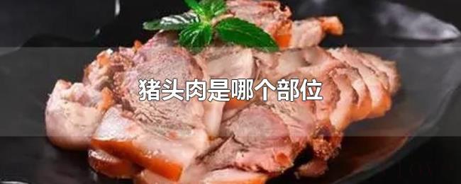 猪头肉是哪个部位 猪头肉是哪个部位