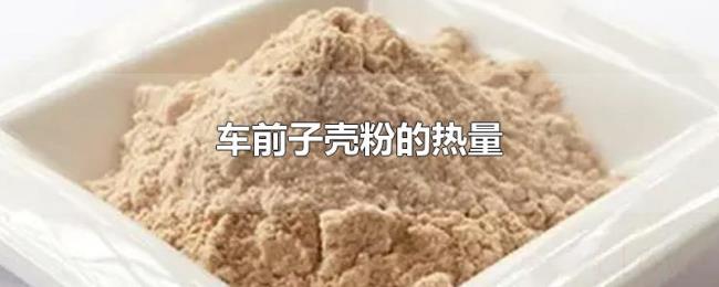 车前子壳粉的热量 车前子壳粉的热量