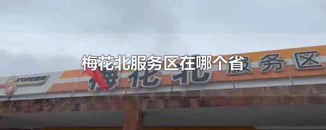 梅花北服务区在哪个省 梅花北服务区在哪个省