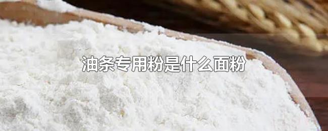 油条专用粉是什么面粉