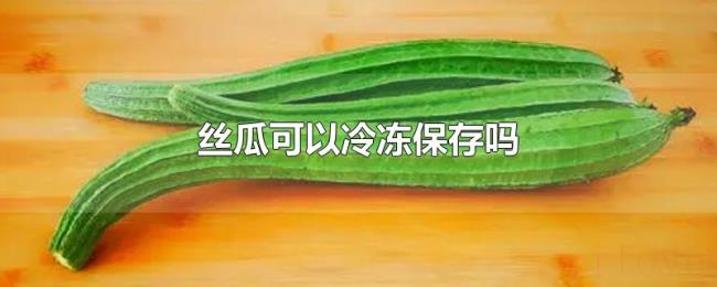 丝瓜可以冷冻保存吗 丝瓜可以冷冻保存吗
