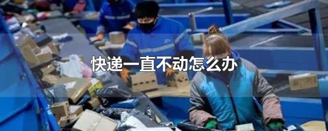 快递一直不动怎么办