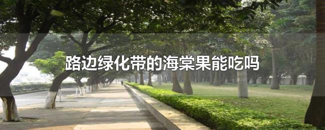 路边绿化带的海棠果能吃吗